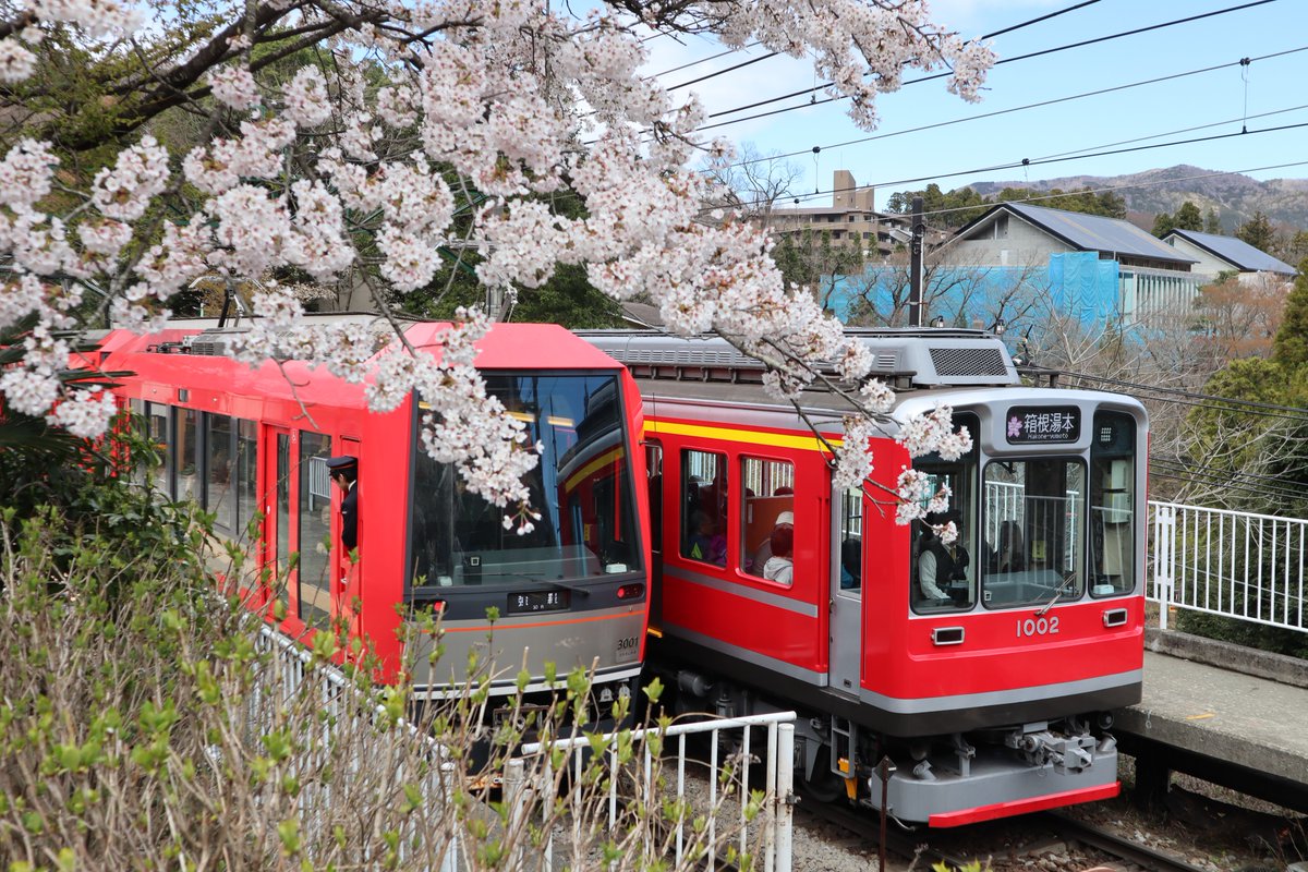 箱根・箱根登山鉄道と桜-2