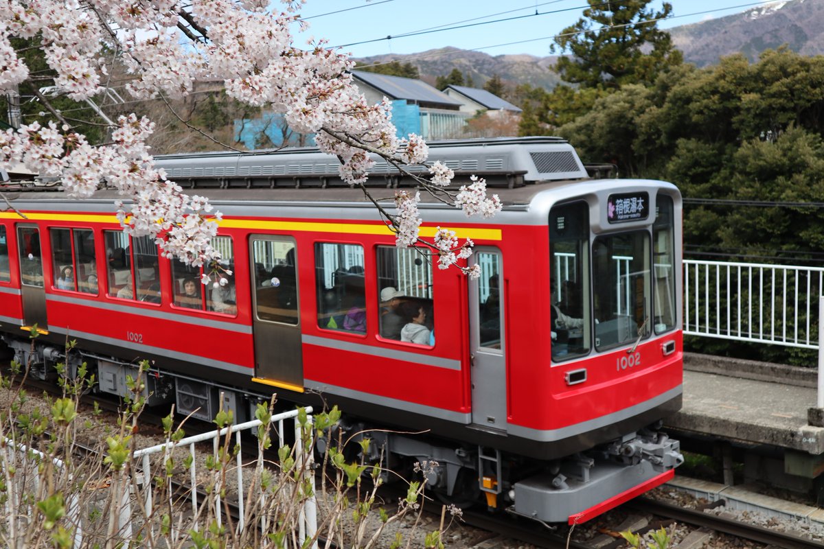 箱根・箱根登山鉄道と桜-4